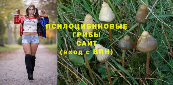 СК Навашино