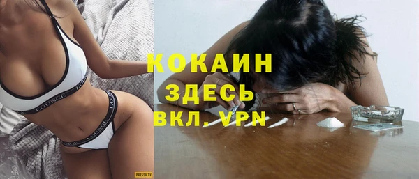 соль ск Михайлов