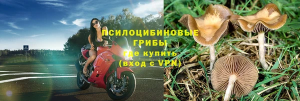 прущие крисы Надым