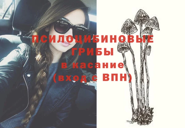 соль ск Михайлов