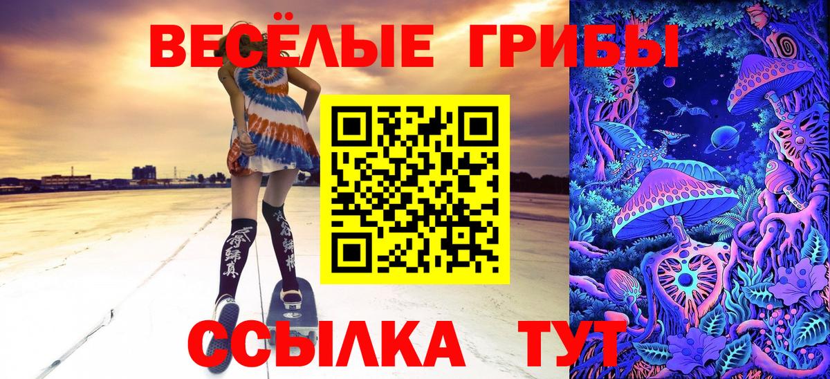 Галлюциногенные грибы GOLDEN TEACHER  сколько стоит  Энгельс 