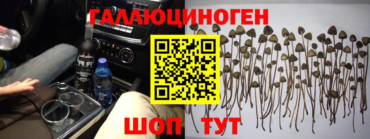 Псилоцибиновые грибы Magic Shrooms Энгельс