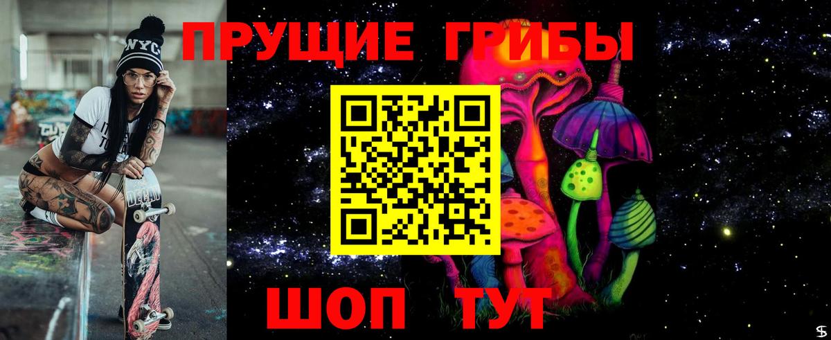 Псилоцибиновые грибы GOLDEN TEACHER  Галлюциногенные грибы Psilocybine cubensis  Энгельс  Вход с VPN 