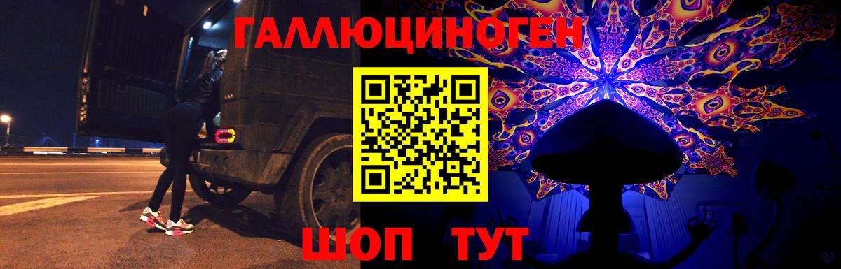 Галлюциногенные грибы Psilocybine cubensis Энгельс